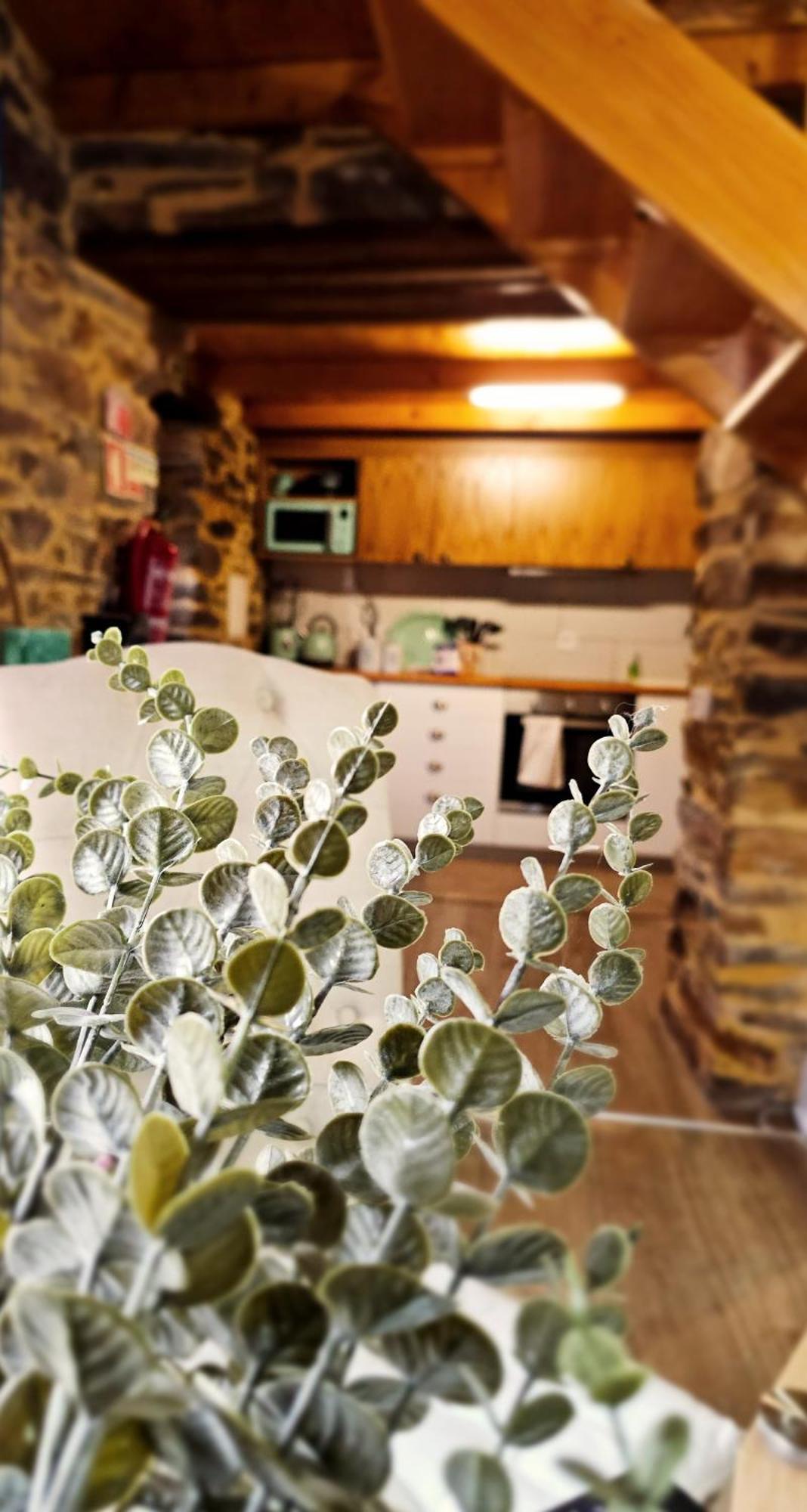 Pampihouse, Casa De Xisto Junto Ao Rio Pampilhosa da Serra Extérieur photo